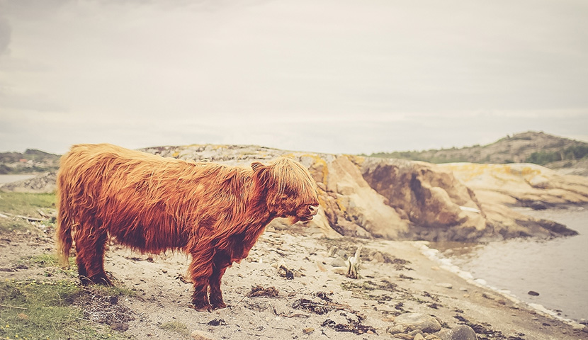 ddos攻击ip软件下载