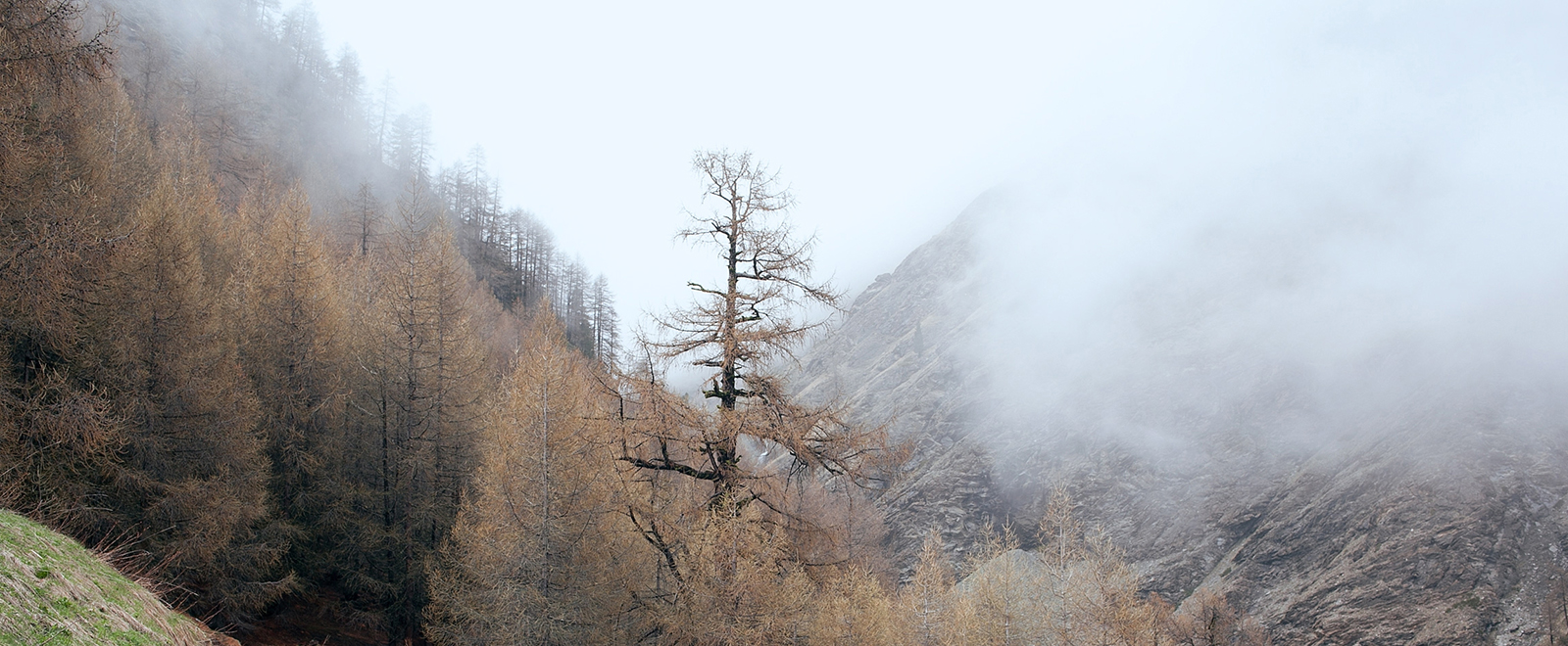 游戏充值中心的网站攻击工具手机版